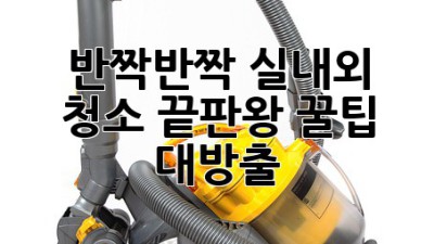 ✨반짝반짝✨ 실내외 청소 끝판왕! 꿀팁 대방출🍯