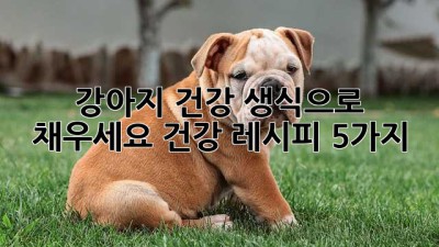강아지 건강, 생식으로 채우세요! 건강 레시피 5가지
